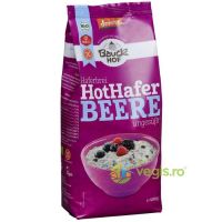 Terci de Ovaz cu Fructe de Padure Fara Gluten Ecologic/Bio 400g