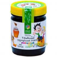Vitalizant Energizant Pentru Copii 270g