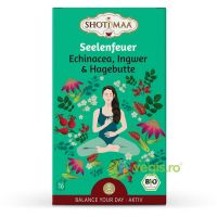 Ceai cu Echinacea, Ghimbir si Macese Valance Your Day-Lifespring Ecologic/Bio 16dz