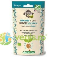 Mix Seminte de Alfalfa si Rucola pentru Germinat Ecologic/Bio 150g