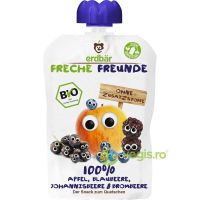 Piure de Mere, Afine, Coacaze si Mure Ecologic/Bio 100g