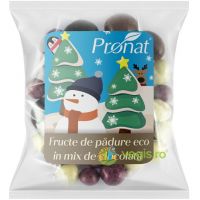 Fructe de Padure in Mix de Ciocolata Ecologice/Bio 50g