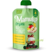 Porridge de Orez cu Fructe 4+ Luni Ecologic/Bio 100g