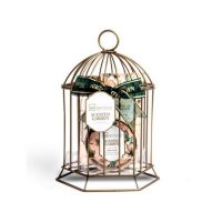 Set gel dus, lotiune corp, exfoliant si o colivie decorativa Scented Garden Cage, IDC Institute 44007, 240 ml Engros