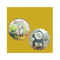 Desfacator en-gross metalic magnetic Romania