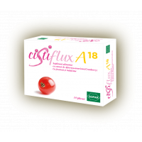 CISTIFLUX A18 14PLICURI
