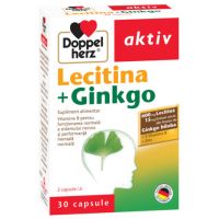DOPPELHERZ AKTIV LECITINA + GINGKO 30 CAPSULE