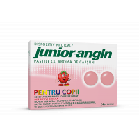 JUNIOR ANGIN 24 PASTILE