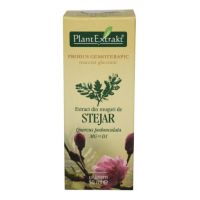 EXTRACT DIN MUGURI DE STEJAR 50ML