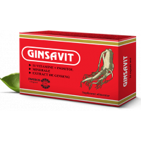 GINSAVIT 24 CAPSULE