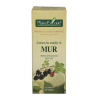 EXTRACT DIN MLADITE DE MUR 50ML