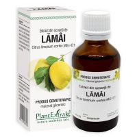 EXTRACT SCOARTA LAMAI 50ML