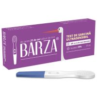 BARZA TEST SARCINA STILOU