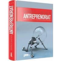 Antreprenoriat - Marius Ghenea