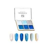 Paleta pigmenti holografici 009 W59F Engros