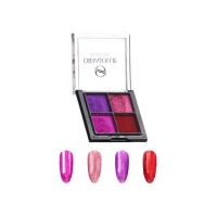 Paleta pigmenti holografici 010 W58H Engros