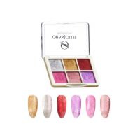Paleta pigmenti holografici 013 W59H Engros