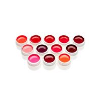 Set 12 geluri UV Pure Color Gel W51