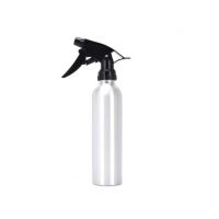 Pulverizator metal, argintiu, 300ml Engros