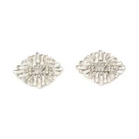 Accesorii pantofi ALDO argintii, 13725440, din metal