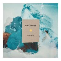 Amouage Lineage Eau de Parfum bărbați 100 ml