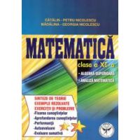 Matematica clasa a XI-a. Algebra superioara - Analiza matematica