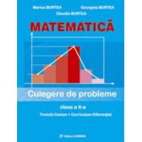 Matematica. Culegere de probleme. Clasa a X-a