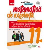 Matematica de excelenta. Pentru concursuri olimpiade si centrele de excelenta. clasa a XI-a. volumul I - algebra