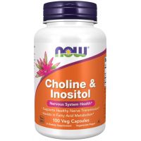 Choline & Inositol 500 mg - NOW Foods