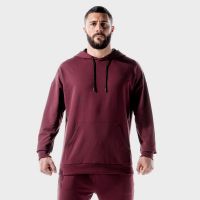 Hanorac Lab 360 Hoodie Tawny Port - SQUATWOLF