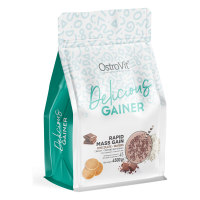 Delicious Gainer - OstroVit