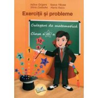 Exercitii si probleme. Culegere de matematica clasa a III-a. Editia a II-a revizuta 2018