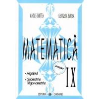 Matematica. Clasa a IX-a. Culegere in sprijinul manualelor alternative