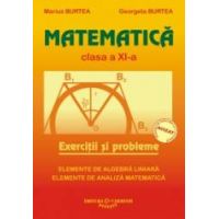 Matematica. Exercitii si probleme. Clasa a XI-a