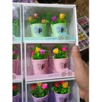 ​Set 12 decorațiuni cadou engros