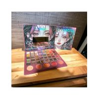 Trusa/Paleta-Fard IGOODCO engross pentru ochi + blush 40+5 culori 5155