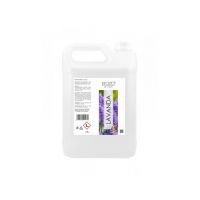Odorizant de camera ambiental concentrat Engros, 5L, Lavanda
