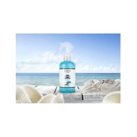 Odorizant Auto Spray Engros Loris Ocean 250 ml