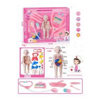 SET DOCTOR ANATOMIA OMULUI Engros