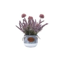 Aranjament floral, in ghiveci din ceramica, H27 crizantema si lavanda, culoare mov / ZTS 8054_1 Engros