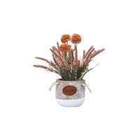 Aranjament floral, in ghiveci din ceramica, H27 crizantema si lavanda, culoare portocaliu / ZTS 8054_3 Engros
