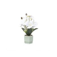 Aranjament floral in ghiveci din ceramica, model orhidee, H 37cm, culoare alb / ZTS 8055_3 Engros