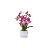 Aranjament floral in ghiveci din ceramica, model orhidee, H 37cm, culoare multicolor / ZTS 8055_2 Engros