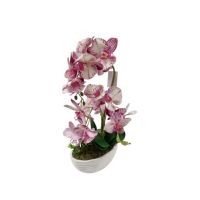 Aranjament orhidee 4 fire in ghiveci de ceramica 45 cm inaltime