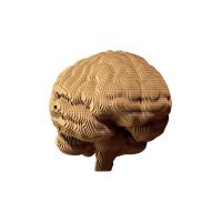 Cartonic puzzle 3d Brain