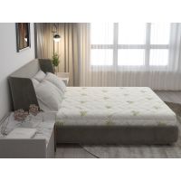 Saltea cu spumă poliuretanică Somnexpert 140x200, înălțime 17 cm, ortopedică, husă bumbac Aloe Vera detașabilă și lavabilă, rulată, fermitate medie