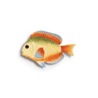 &k amsterdam farfurie Plate Fish Rainbow