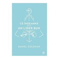 Ce inseamna sa fii un lider bun. De ce este importanta inteligenta emotionala - Daniel Goleman