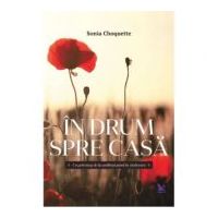In drum spre casa. Un pelerinaj de la umilinta pana la vindecare - Sonia Choquette