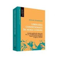 Liberarea conditionata in noile coduri - Edgar Dumbrava